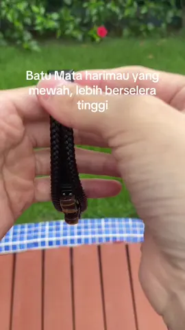 Batu Mata Harimau yang Mewah ,Gelang Tangan Kulit Asli untuk Pria.#fyp 