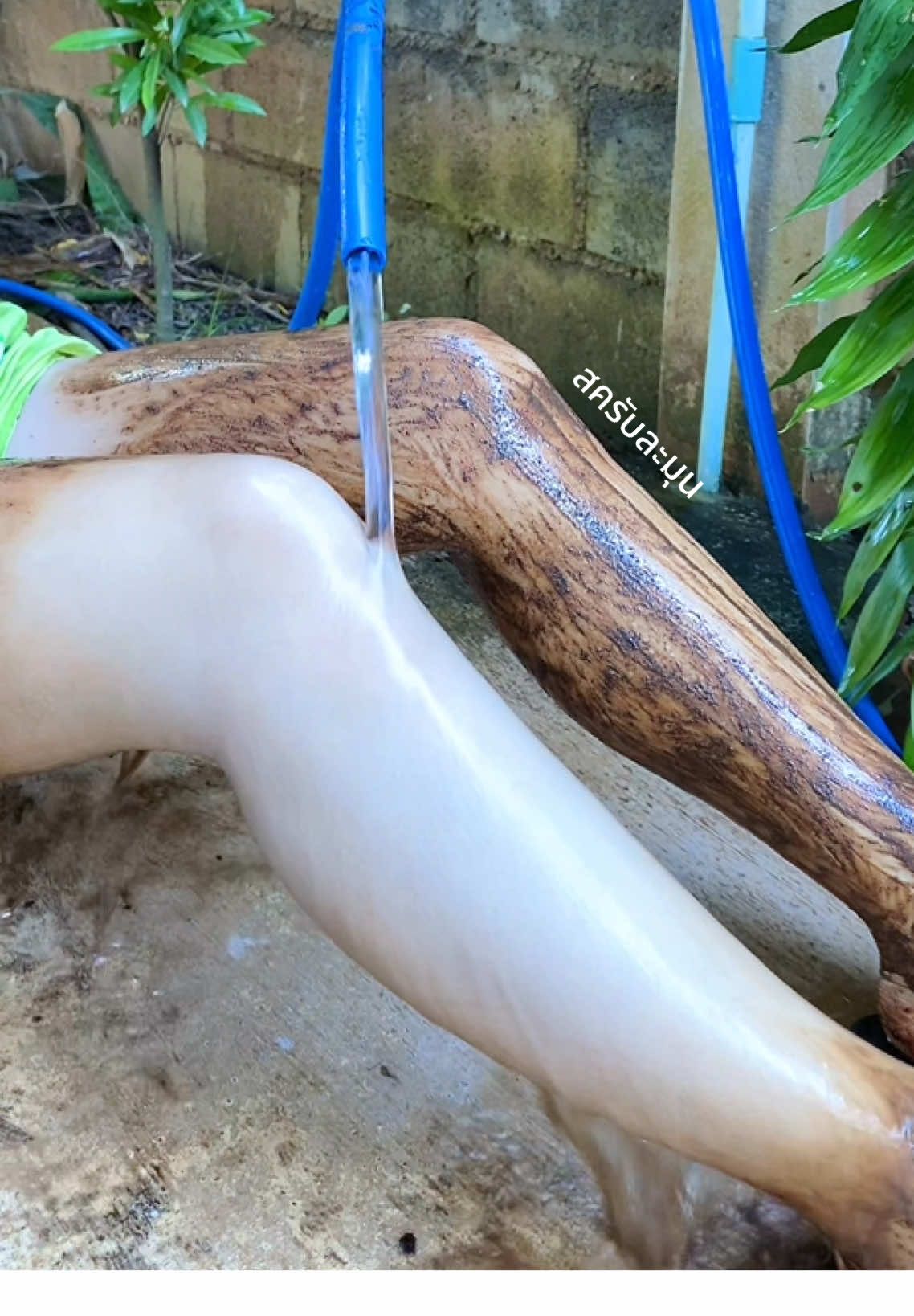 🎟️🎟️🎟️🎟️🎟️@รีวิวing 🎟️🎟️🎟️🎟️🎟️ #เธรดดูแลตัวเอง #รักตัวเอง #ดูแลผิว #สครับผิวขาว #สครับละมุน 