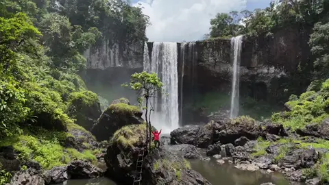 Sự hùng vĩ của núi rừng 🌳😍😍#viralvideo #xh #fyp #tháck50 