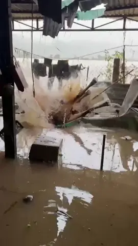 Không biết trên thế giới có nơi nào giống như nơi này nữa không? Tại Phú Yên, nước lũ dâng lên, con bò cũng lên mái nhà lánh nạn. Nhịn đói mấy ngày rồi, rớt xuống dưới này cũng chẳng có gì ăn! Vì qua đoạn video, ta thấy, hiểu nhiều vấn đề khác, liên quan đến những trận lũ nhiều vùng - miền đã và đang xảy ra.   Nguồn: Lm Chính Trực