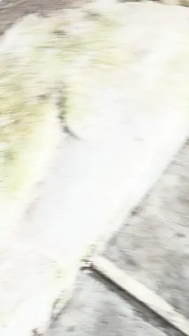 pengen ganti warna tapi bingung😌 #fyp #vario #vario125 #fypシ゚ 