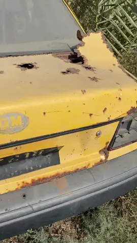 💚💚💚💚💚💚💚💚💚💚💚💚💚💚💚💚💚💚💚💚💚💚