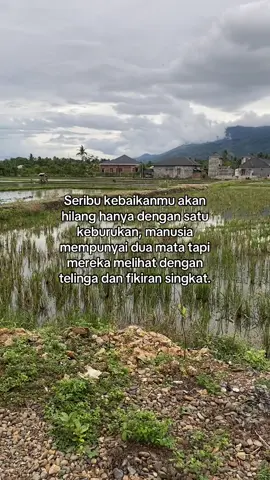 #sadvibes #djharisnugraha #djsadsong #fypシ゚ #masukberandafyp 