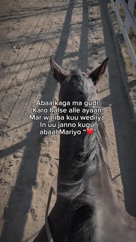 ❤️ #fypviralシ #fypviralシ #foryoupage #viral #fypviralシ 