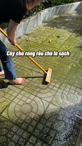 Chà đến đâu sạch rong rêu đến đó !! Không cần bột tẩy rong hay gì hết #choicharongreu #choicharong #choisatchareu #rongreu #review 
