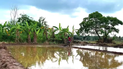 #nature #raining  #foryoupage 