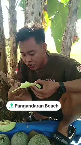 Jampe jampe harupat 😅😅 #promomakanharian #pangandaran #fyp #trending #masukberanda 