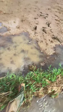 Đưng đề ý tới nó #xuhuong #mega #meme #chill 