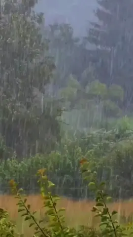 #sturm #gewitter #unwetter #regen #dorfkind 