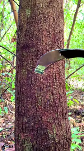 😜😜😜🤣🤣🤣😎#foryou #foryoupage #viralvideo #saport___me💙😘 @TikTok 