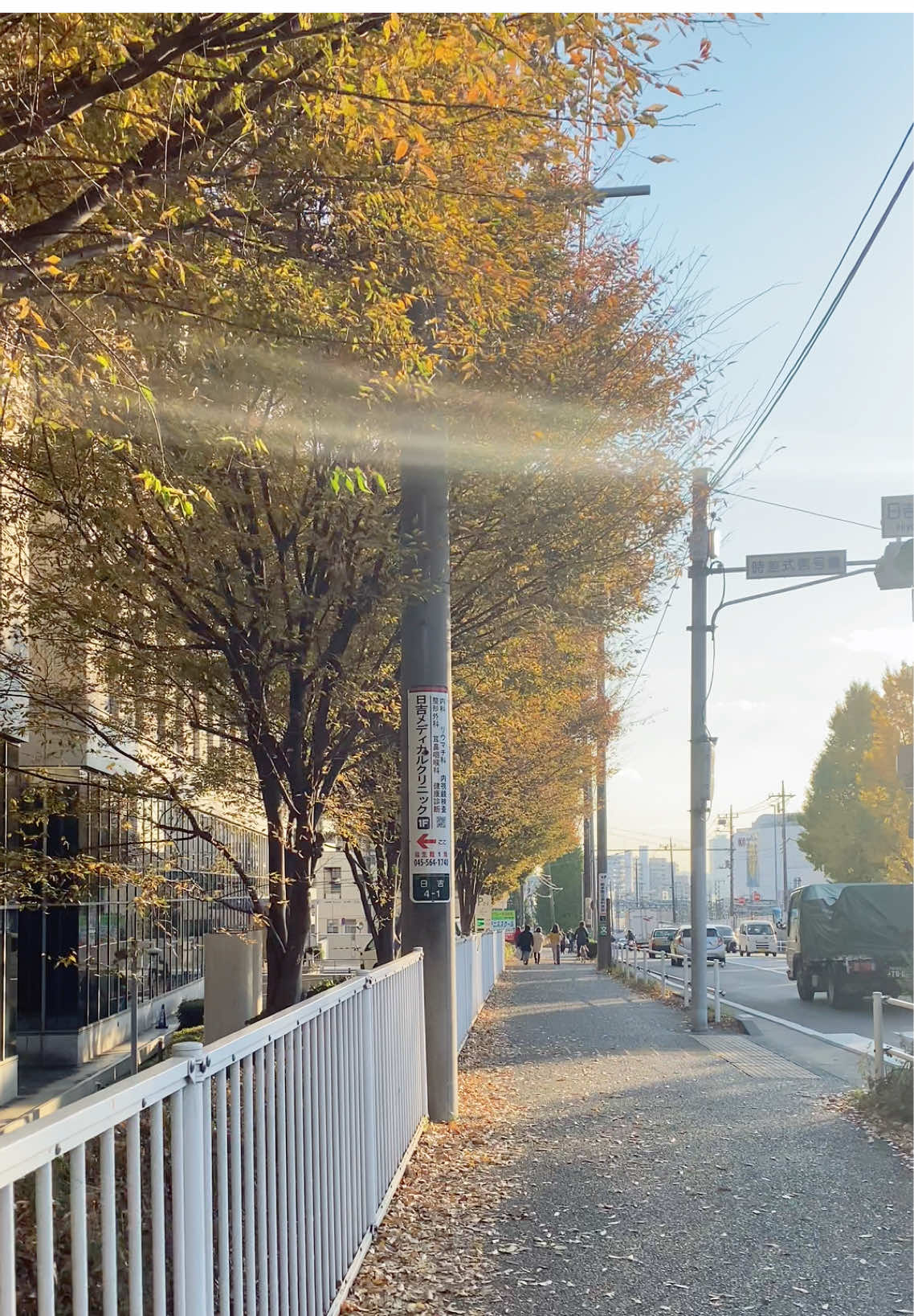 japan autum vibes with jawa song 🍁 #tokyo #おすすめ #japan #lagujawa 