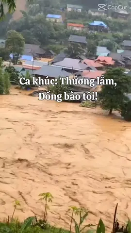 ngồi sáng tác mà nước mắt không ngừng rơi. Thương lắm, Đồng bào ơi 😭 #amnhac #tramcamxuc💔 #vietnam #nguoivietnam #xuhuong 