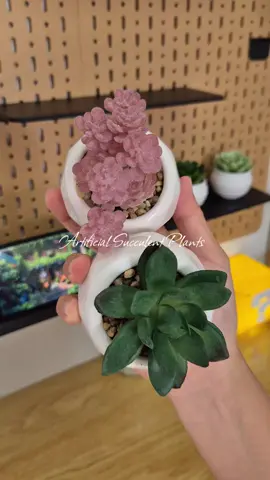 Artificial Succulent Plants