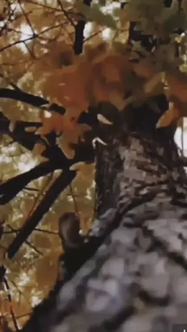 После пятидесяти начинаешь видеть жизнь по другому...#мысливслух #жизнь #словасосмыслом #цитаты 