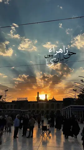 Mujhko duniya ka koi khauf nahi 🤍 #shia #ayyamefatimiyah #rasoolallah #imamali #trend 