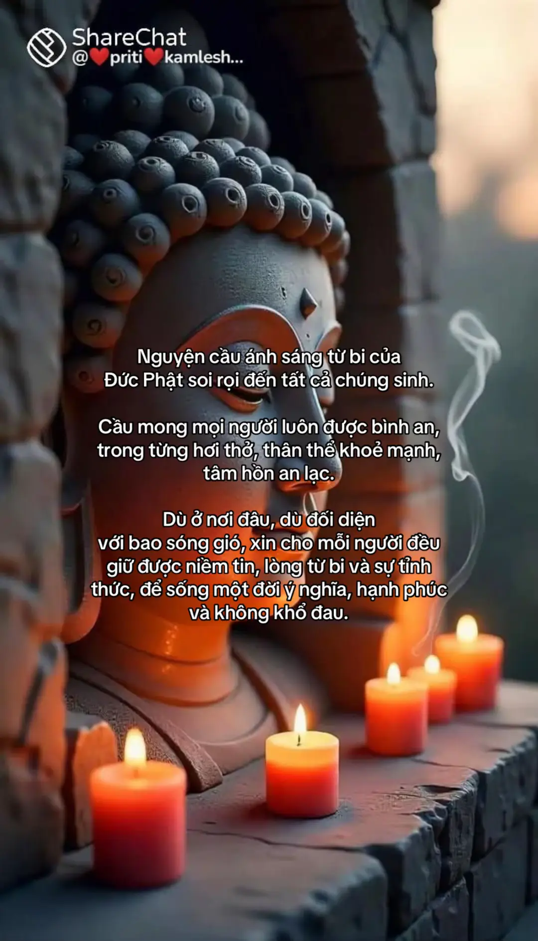 #phatphap #phatphapnhiemmau #nammoadidaphat #nammobonsuthichcamauniphat #xuhuong 