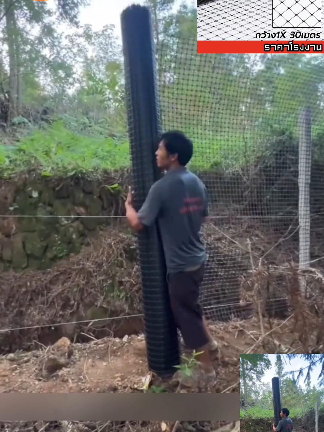 ตาข่ายล้อมไก่ยาว 30 เมตรราคา 100 กว่าบาทรีบกดซื้อให้ทันนะราคาถูกมากตาข่ายเกรด A ด้วย #ตะข่ายล้อมไก่