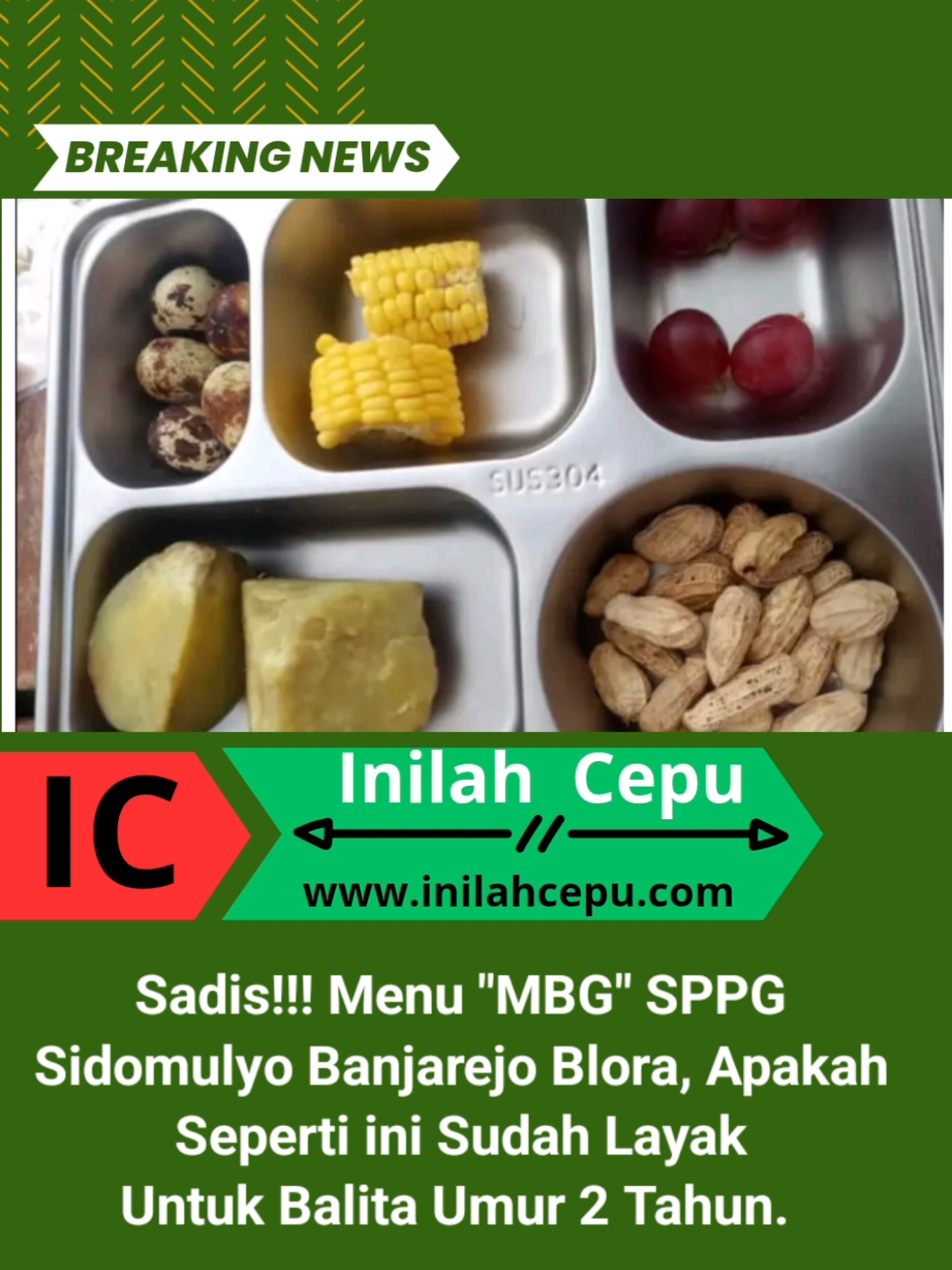Menu MBG SPPG Sidomulyo Banjarejo Blora kembali di sorot.  Menu dengan 2 potong jagung, 5 telur puyuh, 4 anggur merah 2 ubi rambat dan kurang lebih 20 butir kacang tanah untuk balita umur 2 tahun.  Dengan menu mbg seperti ini apakah sudah memenuhi gizi atau seakan akan ada pembiaran atau tidak ada pengawasan.  #mbg #sppg #sidumulyo #banjarejo #blora 