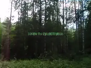 прост #лес #природа #forest #nature #digitalcamera #небытие #менянесуществует #мохправитмиром #уйдивлес #лешийждет 