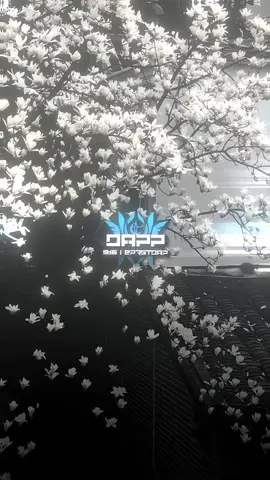 #dap kane or kece 😣🗿 [am prem cek bio] #foryou #prstdap #egs #presetalightmotion 