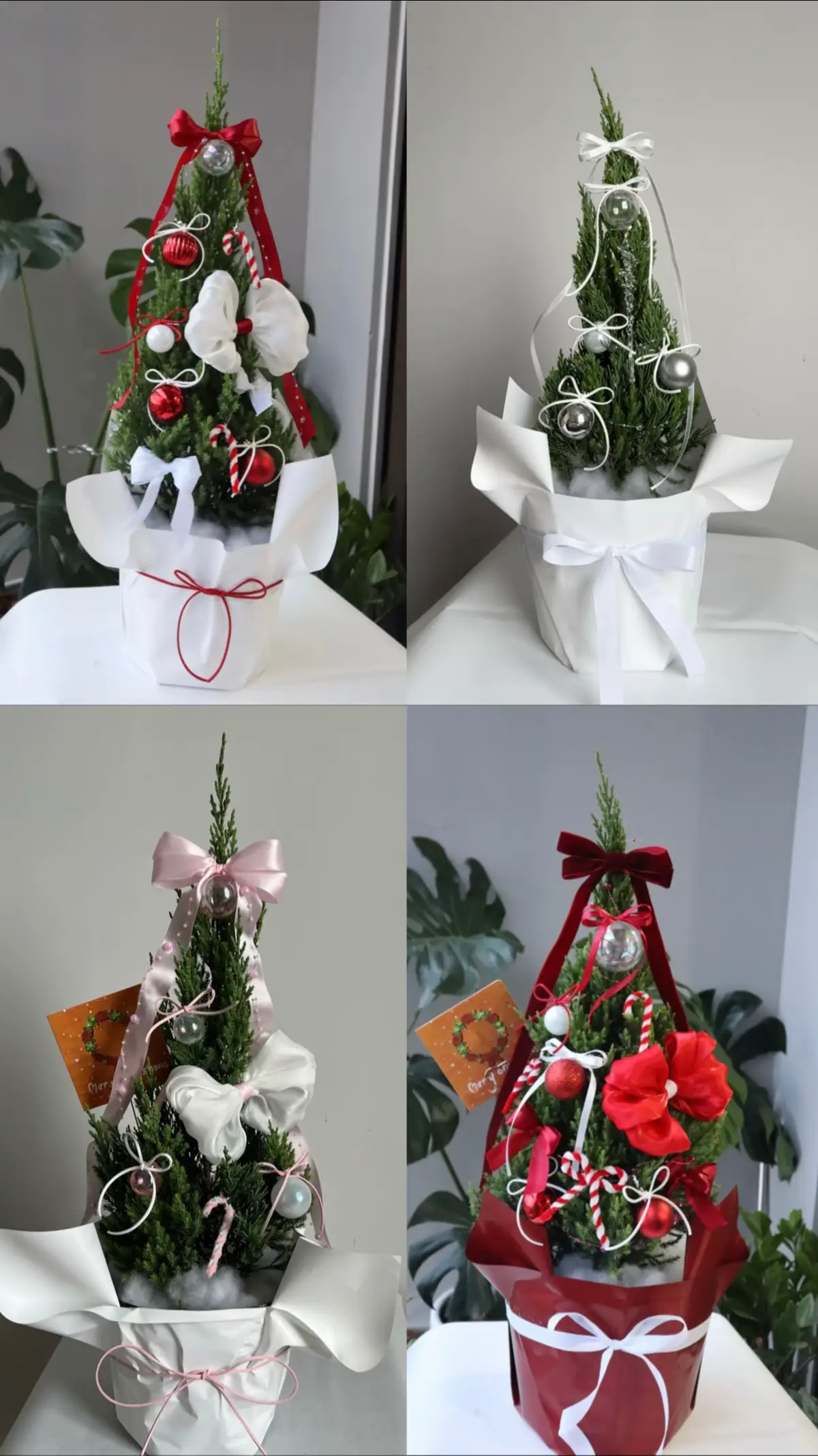 🎄 NHỮNG MẪU SƠN TÙNG NOEL BÁN CHẠY NHẤT NHÀ ÔM GARDEN 🎄 (P2)