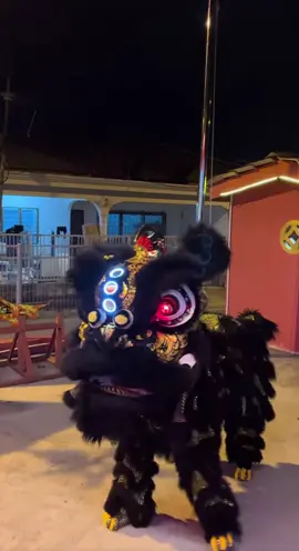 🇲🇾 2025 第一屆 山城杯 獅霸山城傳統南獅邀請賽 1st Ipoh National Traditional Lion Dance Invitational Championship 2025 Pre-match participation 賽前參神🙏 🇲🇾 雪州根登文化體育會 🖤💛 老夫子狮 Mengkok #malaysia #liondance #barongsai #mualan #tariansinga 