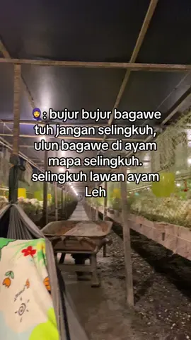 kada habis akal lawan bini #storybanjar#masukberanda #storywa#fyppppppppppppppppppppppp 