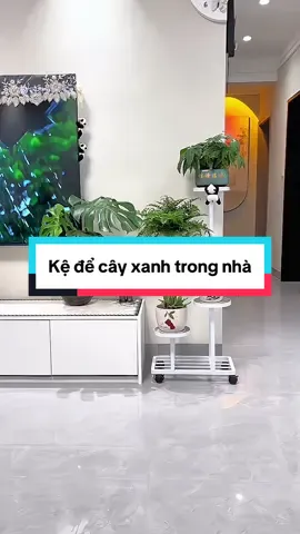 Kệ để cây xanh trong nhà #giadungtienich #giadungthongminh #fyp #kedecaycanhtrongnha 