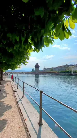 #LIVEIncentiveProgram #LIVEFEST2025 #MakeLIVECount #PaidPartnership 