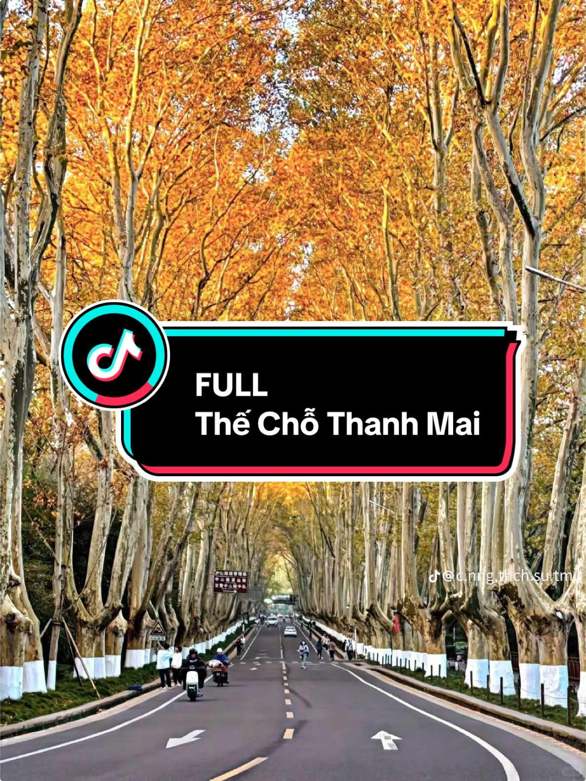 FULL: Thế Chỗ Thanh Mai #truyenaudiofull #truyenaudio #fyppppppppppppppppppppppp #asmr #audio 