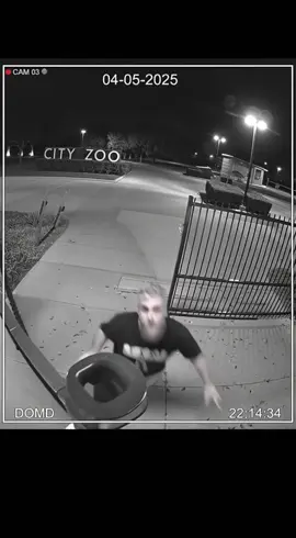 UNSTOPPABLE ZOO RAMPAGE - SECURITY BREACH CHAOS with Jake Paul Surveillance footage reveals an unprecedented night of mayhem when Jake Paul turned Evergreen Zoo into his personal playground. Starting with a casual vault over the giraffe enclosure, Paul's parkour-style zoo invasion escalated as he leaped, climbed, and crashed through every barrier in sight. Helicopter thermal imaging captured his wild journey scaling the elephant house, while drone footage showed him somehow swimming through the penguin pool before mysteriously appearing in the restricted tiger zone. Zoo officials were baffled by his apparent ability to materialize anywhere at will, prompting one guard to radio in: 