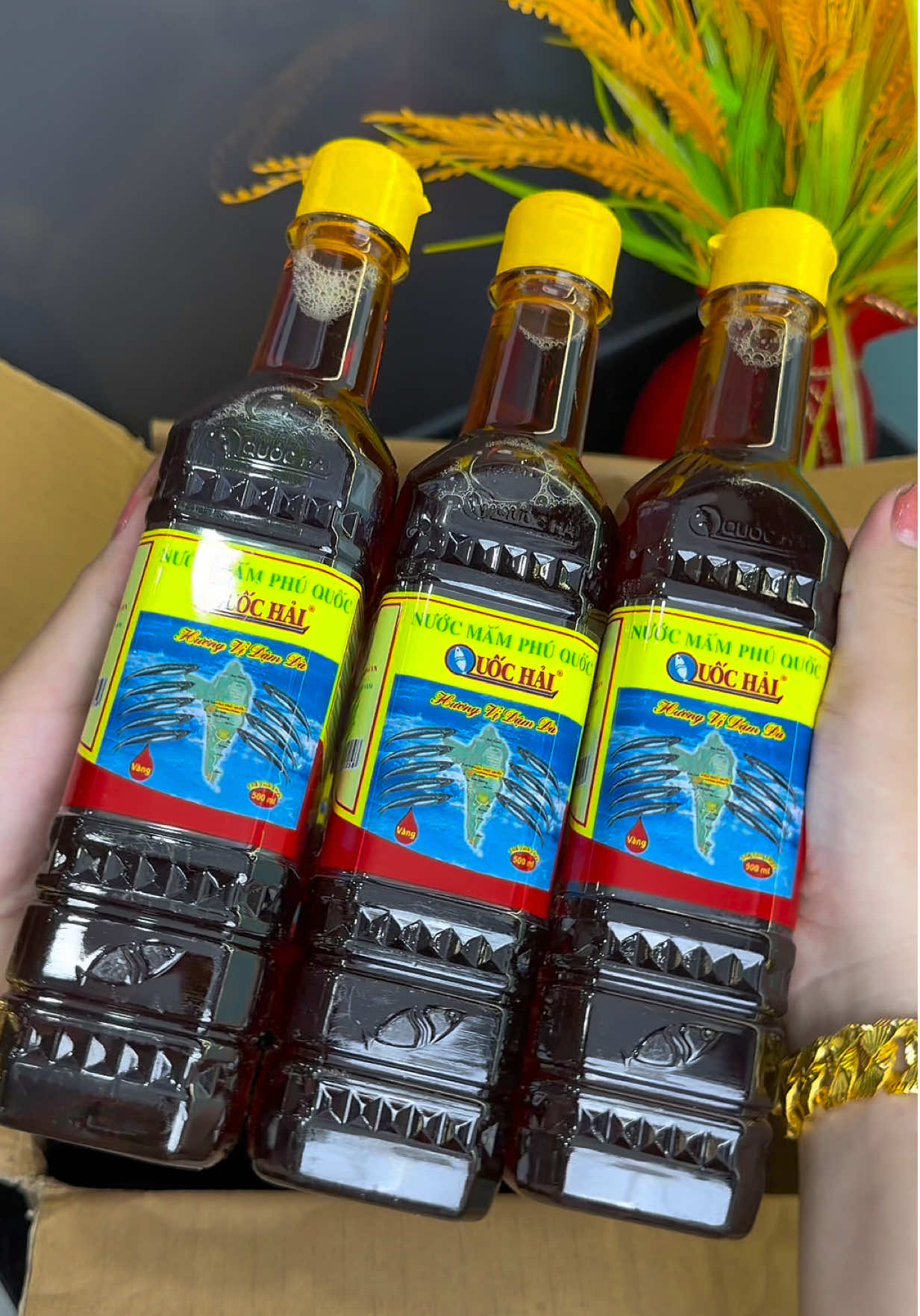 Combo 8 chai nước mắm Phú Quốc Quốc Hải  #emkieutaphoa #nuocmam #nuocmamphuquoc #nuocmamquochai #nuocmamtruyenthong 