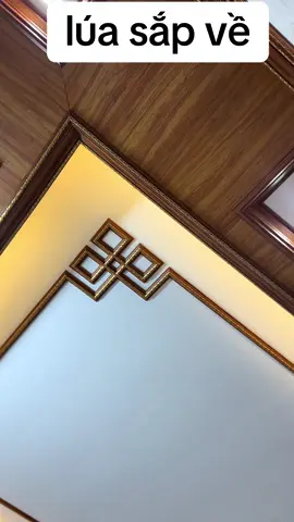 @Bach1994 @Trần nhựa NAm Anh #trannhuanano #bacninh #trannhuanamanh #