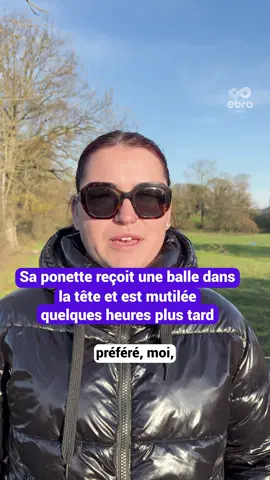 « La plaie évoque un professionnel, des gestes très précis » Emilie Contré, 21 ans, a découvert sa ponette Sissy abattue d’une balle de gros calibre dans la tête à Viriat dans l'Ain. Une caméra de surveillance a filmé la scène : dimanche 16 novembre, de nuit, quelques heures après le tir, une personne est venue découper l’oreille de l’animal pour en retirer la balle. Une enquête, confiée au commissariat de police de Bourg-en-Bresse, permettra peut-être de découvrir l’auteur du tir 🔎 #poney #ponette #faitdivers #sinformersurtiktok #ebrainfo