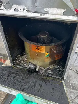 🔥 Dixy Chicken Birmingham back to TR19 standards! 🔥 They called us in for a full canopy, fan & duct clean — and we delivered. System fully restored, airflow fixed, and the kitchen is now running safely and efficiently 💨🧽 📄 TR19 certificate provided after the clean What we offer: ✔ Canopy, fan & duct cleaning ✔ Extractor fan removal, cleaning & replacements ✔ Access panel installation ✔ Fault finding & airflow fixes ✔ Fast, reliable service We Cover Nationwide 🇬🇧 📞 07517 758507 — Call or WhatsApp to book #asmr #birmingham #commericalkitchen #CanopyCleaning #fyp 