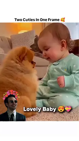 lovely baby ❤️#foryoupage❤️❤️ #fyp #fypシ゚ #1millionaudition #foryoupage❤️❤️ #fyp #fypシ゚ #1millionaudition #foryoupage❤️❤️ #fyp #fypシ゚ #1millionaudition #foryoupage❤️❤️ #fyp #fypシ゚ #1millionaudition #foryoupage❤️❤️ #fyp #fypシ゚ #1millionaudition #foryoupage❤️❤️ #fyp #fypシ゚ #1millionaudition #foryoupage❤️❤️ #fyp #fypシ゚ #1millionaudition #foryoupage❤️❤️ #fyp #fypシ゚ #1millionaudition #foryoupage❤️❤️ #fyp #fypシ゚ #1millionaudition #fyp #fyp #fypシ゚ #1millionaudition #foryoupage❤️❤️ #fyp #fypシ゚ #1millionaudition #foryoupage❤️❤️ #fyp #fypシ゚ #1millionaudition #foryoupage❤️❤️ #fyp #fypシ゚ #1millionaudition #foryoupage❤️❤️ #foryoupage❤️❤️ #fyp #fypシ゚ #1millionaudition #foryoupage❤️❤️ #fyp #fyp #fypシ゚ #1millionaudition #foryoupage❤️❤️ #fyp #fypシ゚ #1millionaudition #foryoupage❤️❤️ #fyp #fypシ゚ #1millionaudition #foryoupage❤️❤️ #fyp #fypシ゚ #1millionaudition #1millionaudition #1millionaudition #foryoupage❤️❤️ 