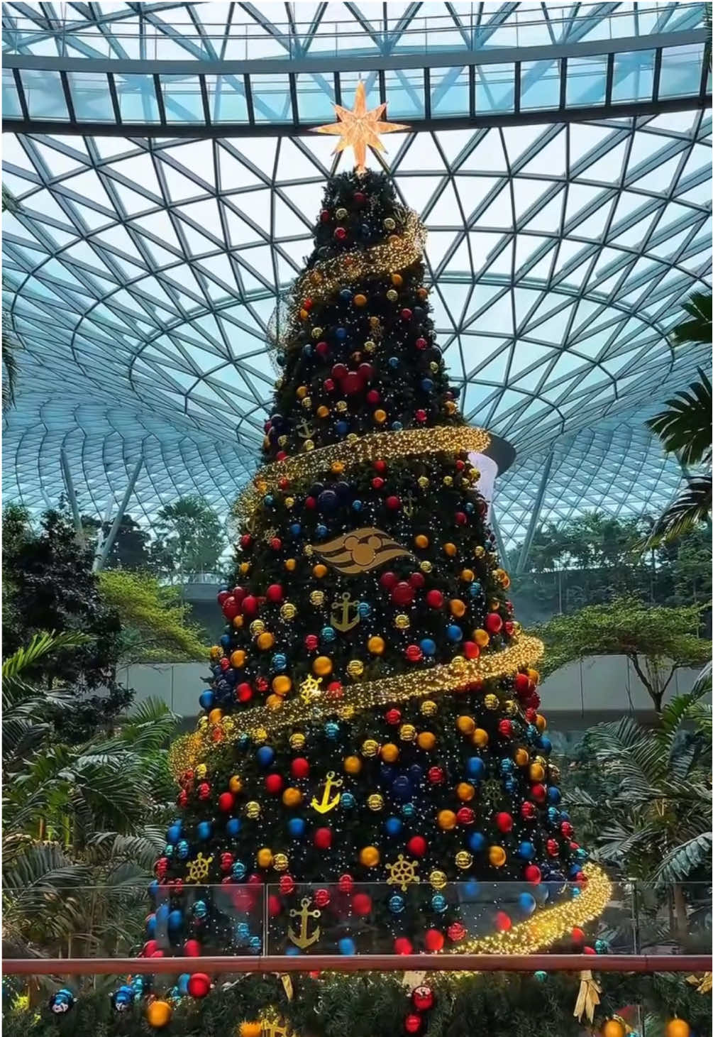 Giáng sinh tràn ngập ở Thác nước Jewel sân bay Changi🎄 #changiairport #singapore #xuhuong #dulichcungthaoo #tourdilathich 