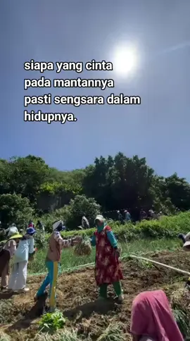 #pulangcantik#uhuii #karyawanimpor #fyppppppppppppppppppppppp 