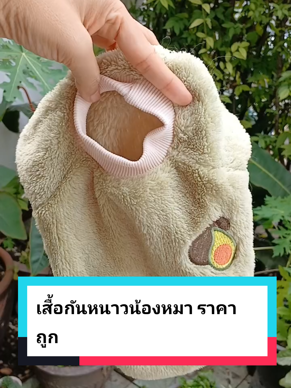 เสื้อหนาวสีเขียว ลายอโวคาโด้ ผ้านุ่มๆ เป็นขนๆ ยึดๆไม่รัดค่ะ ใส่กันหนาวเอาอยู่จร้า #รีวิวดีบอกต่อ #เสื้อกันหนาวหมา #ชุดสัตว์เลี้ยง #เสื้อแมว #เสื้อหมา @แพรรี่ มีอาร์ ทาสหมาทาสแมว @แพรรี่ มีอาร์ ทาสหมาทาสแมว @แพรรี่ มีอาร์ ทาสหมาทาสแมว 