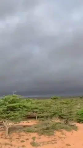 #jawi_bila🌊❤️🌴 #dhaqandhowr1🐪 #bywillmiyi🐪🐎🐎🐑👩‍🦯✅ #wabxo💙💚🤍 #followsoodheh✅️ 