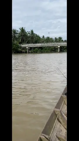 Tiếp tục seri bộ môn trời đài nha ae @♣️♣️Duy Đặng♣️♣️ @Đăng Khôi 🌷 