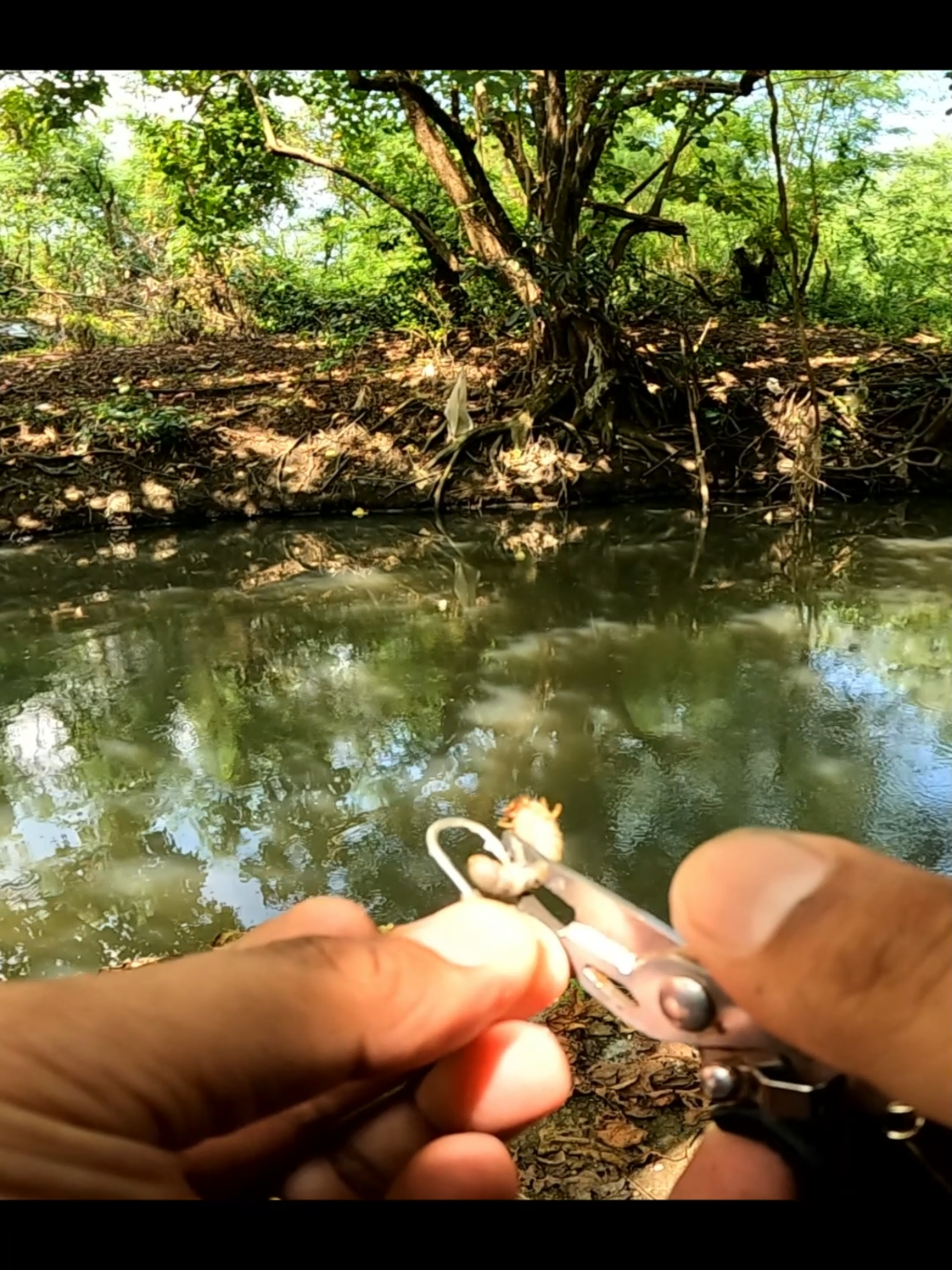 Trying Every Bait / Critter Bait #fishing #cavite #philippines