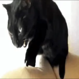 SO umgehst du die YouTube Werbeblocker-Sperre! (4)