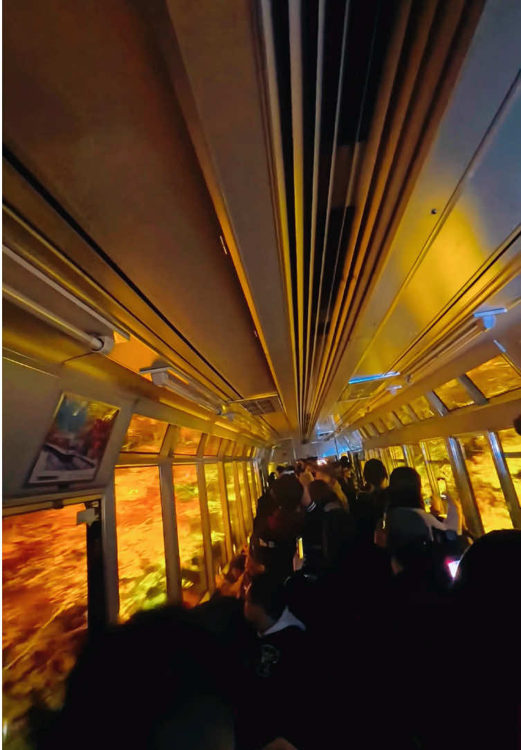 もみじのトンネル🍁今年は11.30までライトアップ！(Maple Tunnel 🍁 This year it will be lit up until 11.30) 📍Japan Kyoto 「Eizan Electric Railway」🇯🇵 📍日本　京都　「叡山電車」🇯🇵 #紅葉 #もみじのトンネル #京都 #kyoto #ライトアップ 