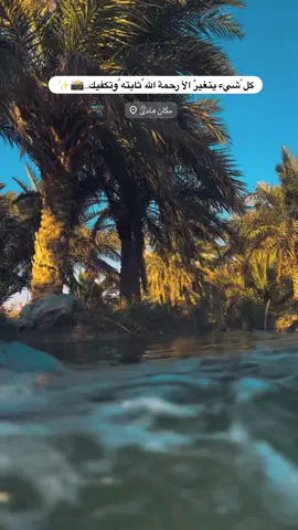 #جزء 415 |#تصويري_احترافي_الاجواء👌🏻🕊 #عباراتكم_الفخمه📿📌 #لايك_متابعه_اكسبلور_لو_عجبكم #قناتي_تليجرام_بالبايو💕🦋 