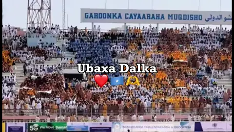 Stadium Mogadishu 🏟🔥 #Somalia #video #Fyp #viral #Somalitiktok 