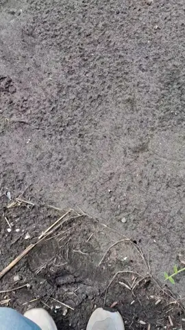 #beranda #fyp #trending #palabuhanratu #pelabuhanratu 