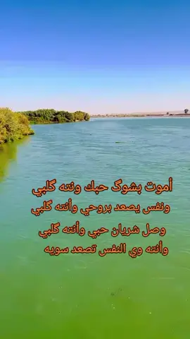 شعرحزينہ♬🥺💔 #عتابه_حزينه #دارميات 