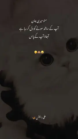 Arha Huoo !! 🤭😜  #fyp #foryou #varilvideo #unfrezzmyaccount #fyppppppppppppppppppppppp 