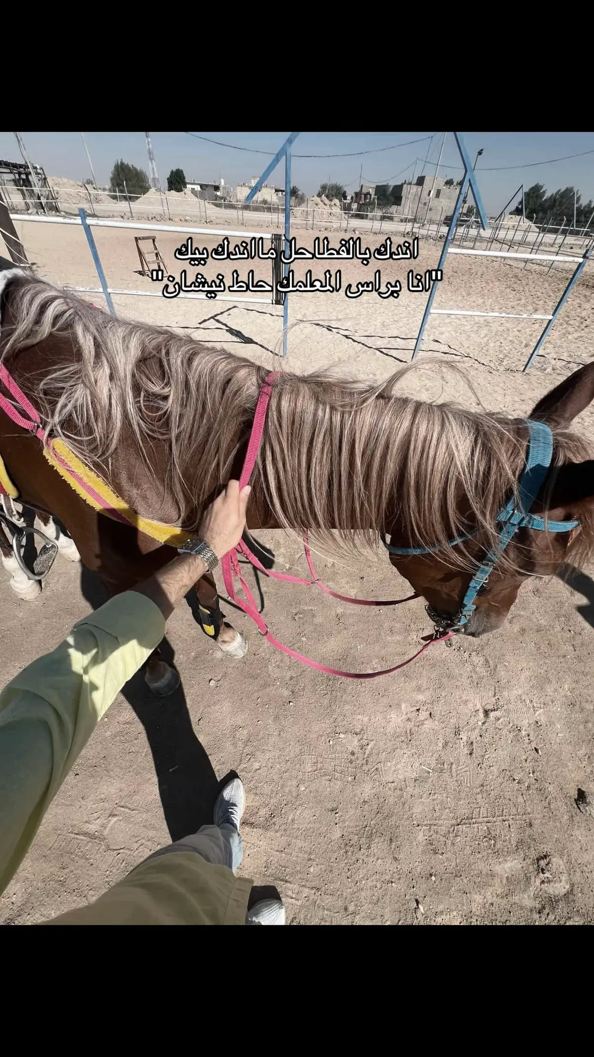 😉😄#blowthisup #pti #youtube #iubire #اقتباسات 